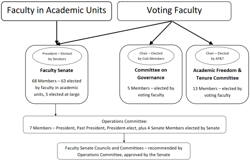 Organizational chart of UNM Faculty Governance